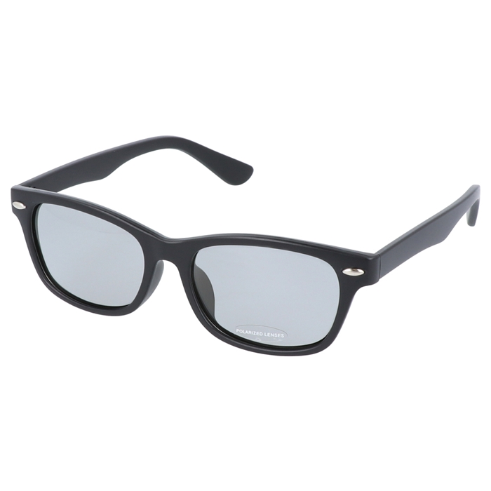 偏光サングラス TSC-F4123SB(スモーク) - 釣具のポイント 【公式