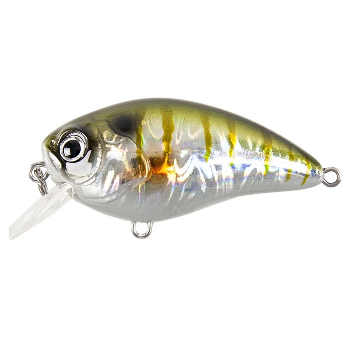 丸っこいペンシルベイト。 菊池工房 ジャークペンシル170GT 鯵