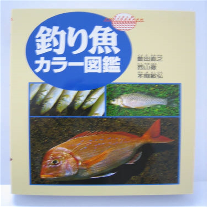ツネミ 釣り魚カラー図鑑