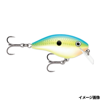 CTSD シトラスシャッド