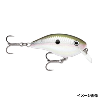 GGSD グリーンギザードシャッド