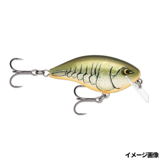 RTBC ルートビアークロウダッド