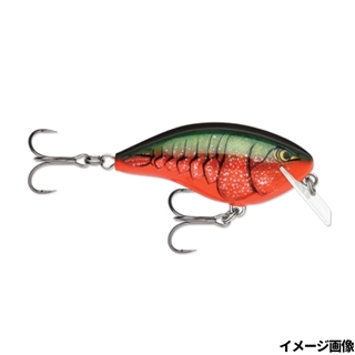 ラパラ・ジャパン オットズガレージ ロッコ 5 BCTS ブリッシュド