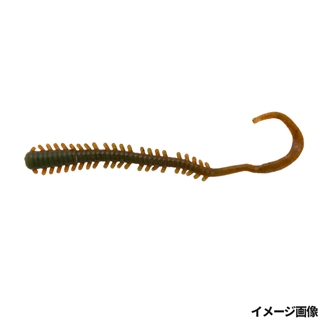 NSW岩イソメ