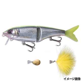 イエローバックリアルボラコノ