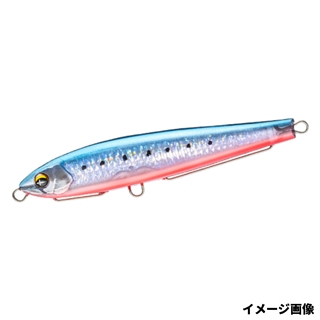 6.HRIアカハライワシ