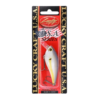 【新品】スキルフル T-bait FAT ルートビアマスタード プレモンス FAT CB BDS MAGIC 2.2 121 チャートリューススプラッター
