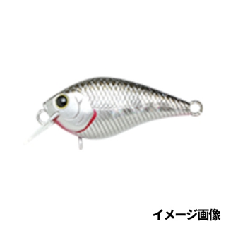 BPゴールデンシャイナー