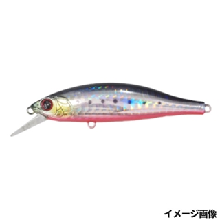 003 ブルピンイワシ