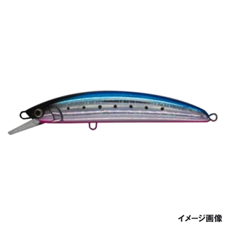 B13H ブルピンイワシ