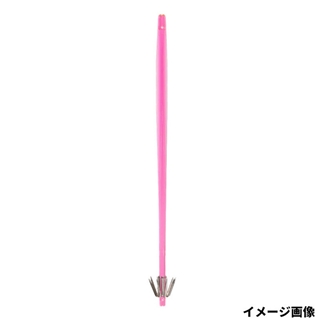 02 ラズベリー