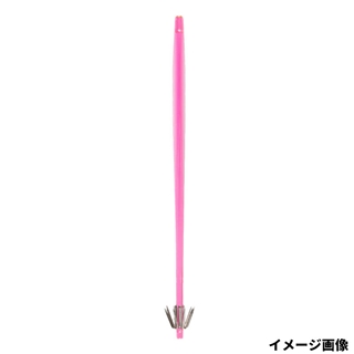 02 ラズベリー