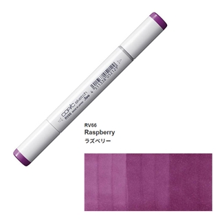 RV66 ラズベリー