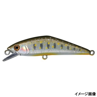 39.イワナレーザー