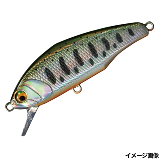 13.チャートバックヤマメ