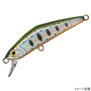 13.チャートバックヤマメ