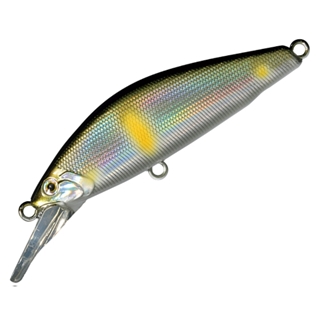 07.アユレーザー