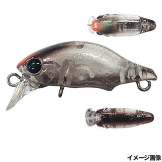 14.FOブラウンベリー