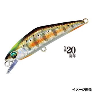 48.アダルトヤマメ