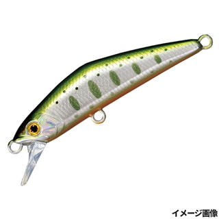 18.グリーンヤマメ