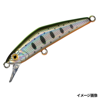 13.チャートバックヤマメ