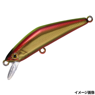 17.アカキンチャートバック