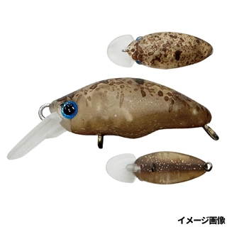 05.ウォルナットRG