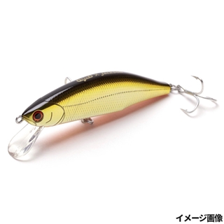 LBG クロキンオレンジベリー