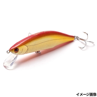 LRG アカキンオレンジベリー