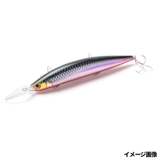 SKR セグロカタクチ