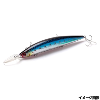 SRI アカチライワシ