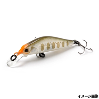 GCY ゴーストクリアホロヤマメ