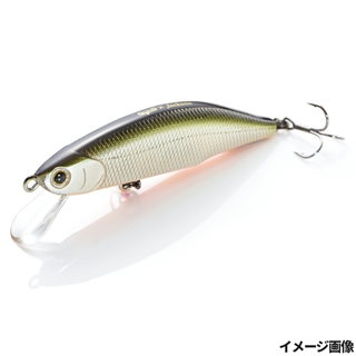 TSD テネシーシャッド