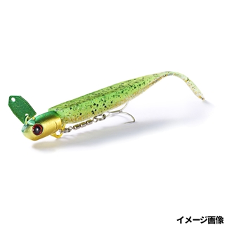 TGG トノサマミドキン