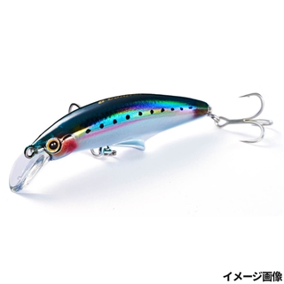 LIW レーザーイワシ