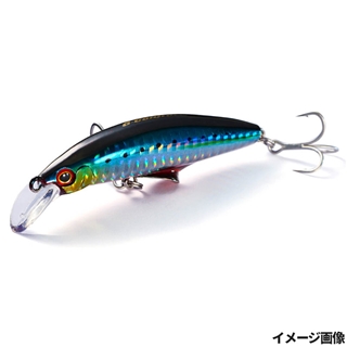 SRI アカハライワシ