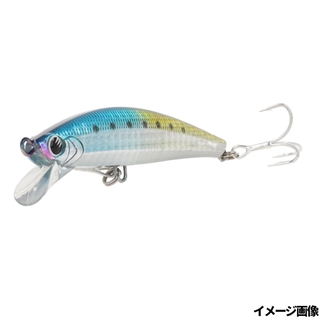 ピチピチイワシ