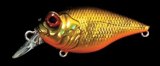 GG ﾒｶﾞﾊﾞｽｷﾝｸﾛ