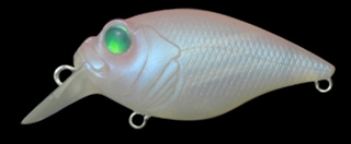 ﾌﾛｰｽﾞﾝﾋﾟﾝｸ