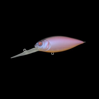 ﾌﾛｰｽﾞﾝﾃｷｰﾗ