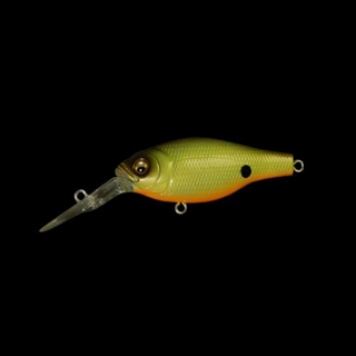 シグナルベイト