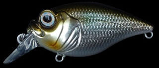 ﾜｷﾞﾝﾎﾝﾓﾛｺ