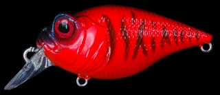 ｳﾞｧｲﾊﾟｰﾀｲｶﾞｰ