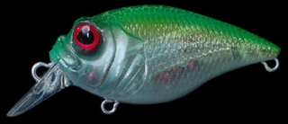 GP ｸﾗｯｸﾗｲﾑﾁｬｰﾄ