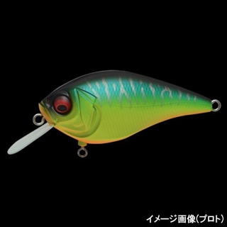 SHIBUKIN TIGER 期間限定完全受注生産 | Megabass - メガバス