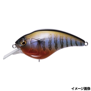 シークレットギル