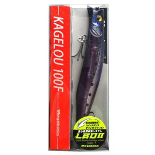 HTパープルネオンイワシ