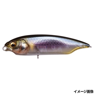 HT セツキチアユ