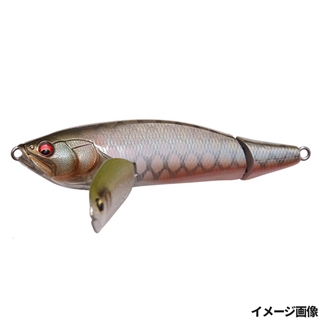 PM シルバーアロワナ