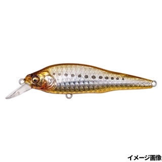 オイルサーディン